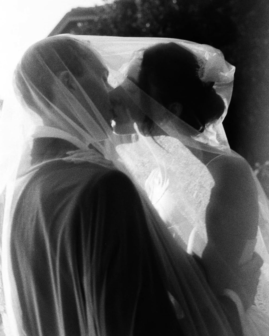 Francesca Veil